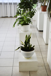 Similar image 22072469