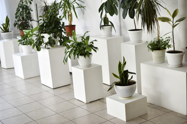 Similar image 22072472