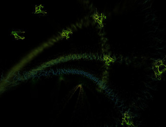 Similar image 22076397