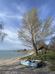 Similar image 22075511