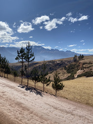 Similar image 22073528