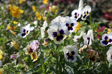 Similar image 22072487