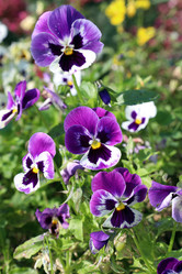 Similar image 22072488