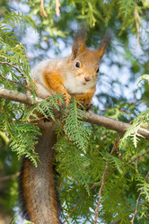 Similar image 22074312