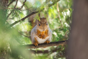 Similar image 22074313