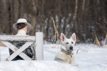 Similar image 22074318