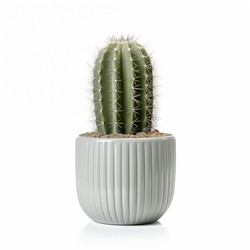 Similar image 22076160