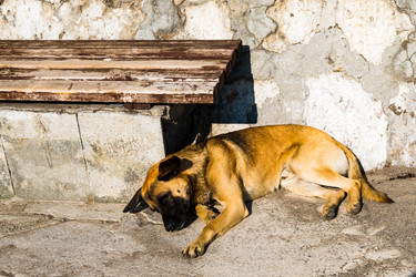 Similar image 22076189