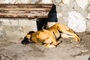 Similar image 22076190