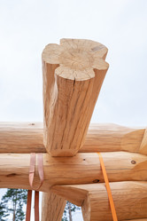 Similar image 22075595