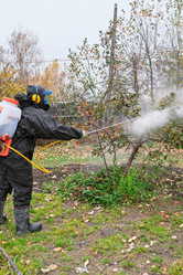 Similar image 22075597