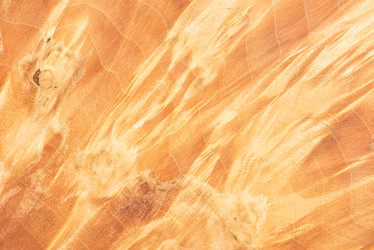 Similar image 22075599