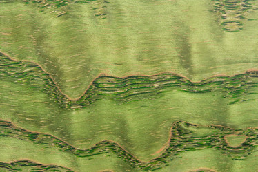 Similar image 22075602