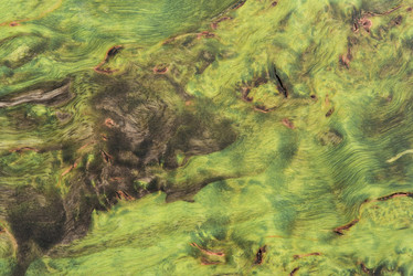 Similar image 22075606