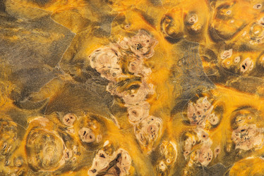 Similar image 22075608