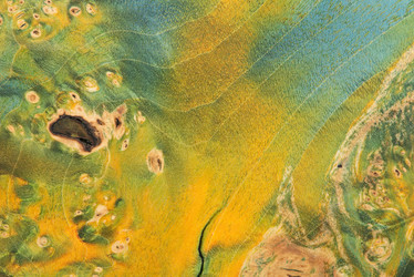 Similar image 22075609