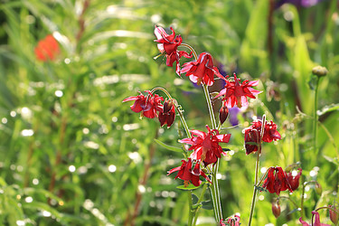 Similar image 22073532