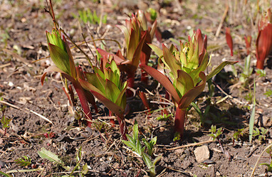 Similar image 22073533