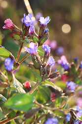 Similar image 22073534