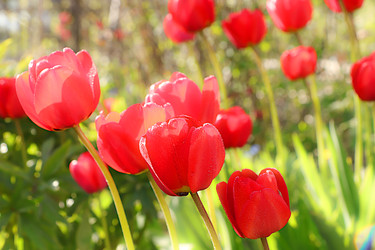 Similar image 22073535