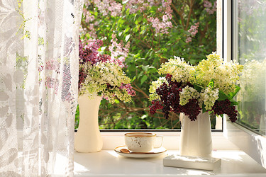 Similar image 22073536