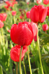 Similar image 22073537