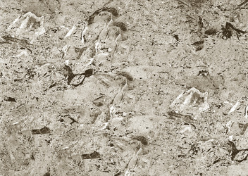 Similar image 22073541