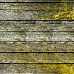 Similar image 22073543