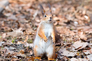 Similar image 22074385