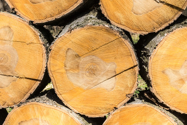 Similar image 22074393