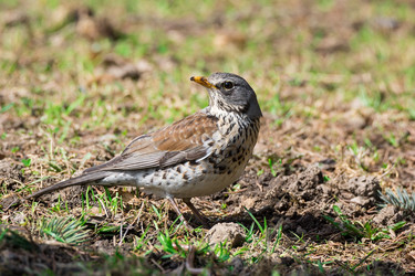 Similar image 22074403