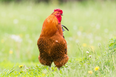 Similar image 22074603