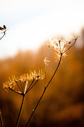 Similar image 22073560