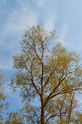 Similar image 22081153