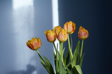 Similar image 22073562