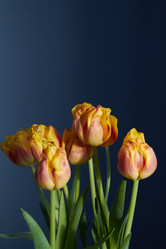 Similar image 22073563