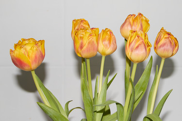 Similar image 22073564