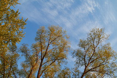 Similar image 22081154