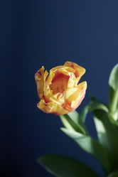 Similar image 22073565