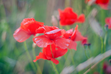 Similar image 22075611