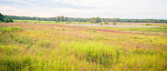 Similar image 22075612