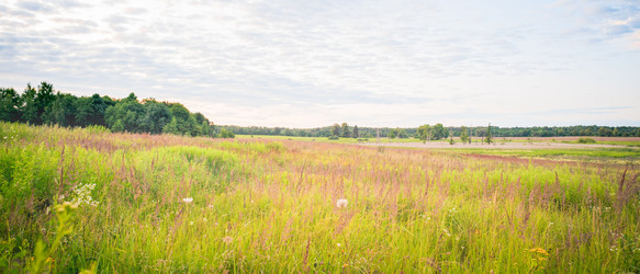 Similar image 22075614