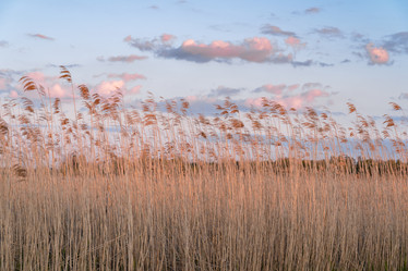 Similar image 22075616