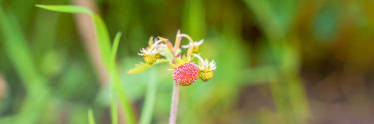 Similar image 22075617