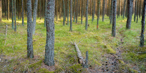 Similar image 22075618