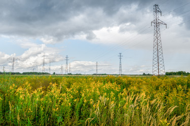 Similar image 22075619