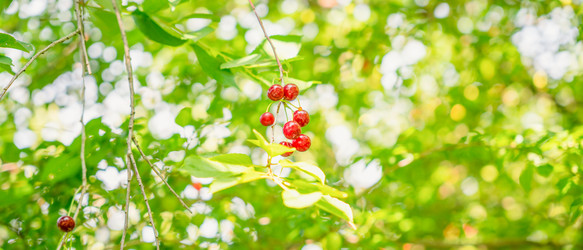 Similar image 22075623