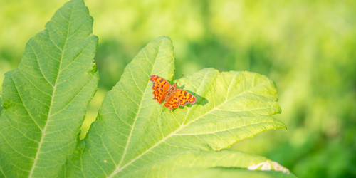 Similar image 22075624