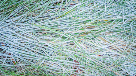 Similar image 22075630