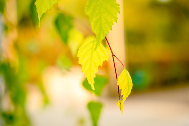 Similar image 22075631